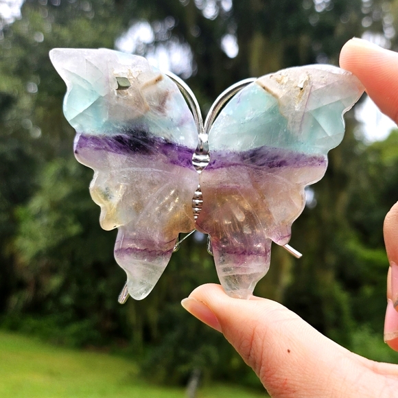 Other - Fluorite butterfly listing
